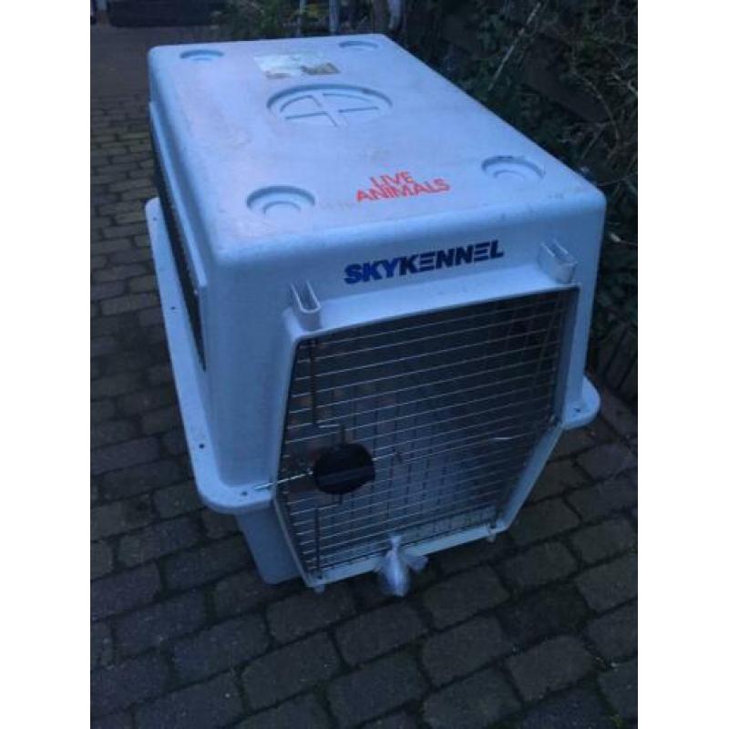 Hondenkennel honden kennel hondenhok Skykennel