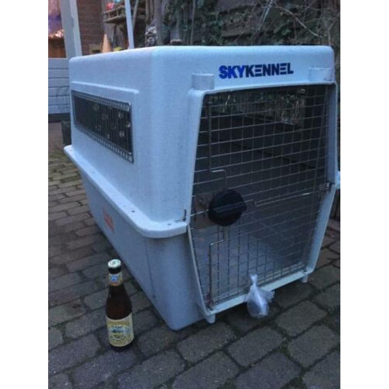 Hondenkennel honden kennel hondenhok Skykennel