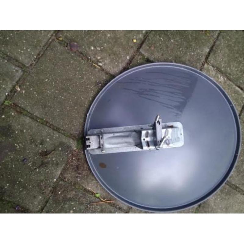 Schotelantenne ovaal +/-65x70