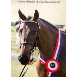 Merrieveulen I'm Special de Muze x Lexicon