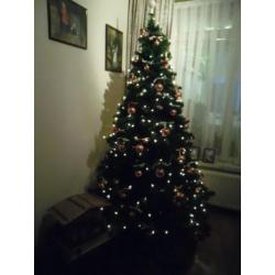 kerstboom