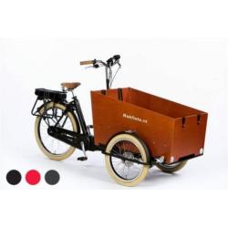 Bakfiets.nl CargoTrike Cruiser Wide Steps