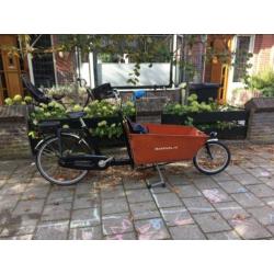 Bakfiets NL CargoBike long incl dekzeil & regentent