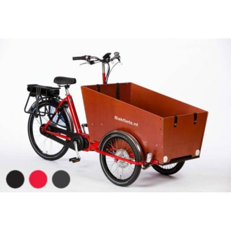 Bakfiets.nl Cargotrike classic Narrow steps