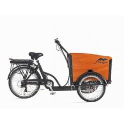 Cangoo Bakfiets Groovy short