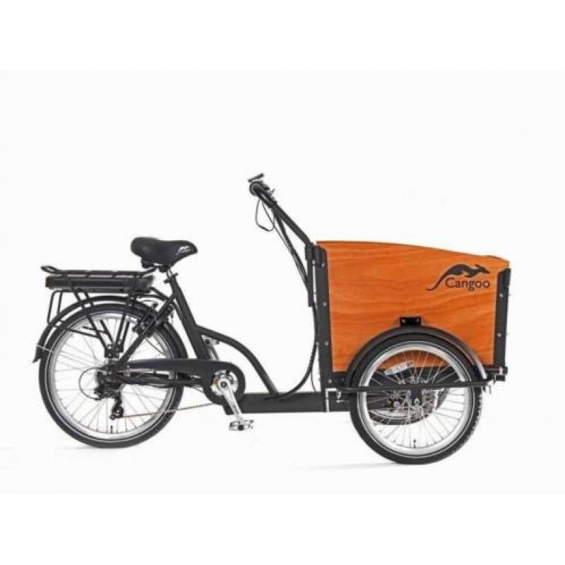 Cangoo Bakfiets Groovy short