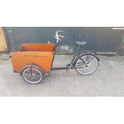 Bakfiets babboe