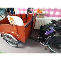 Bakfiets voor 6 kindjes