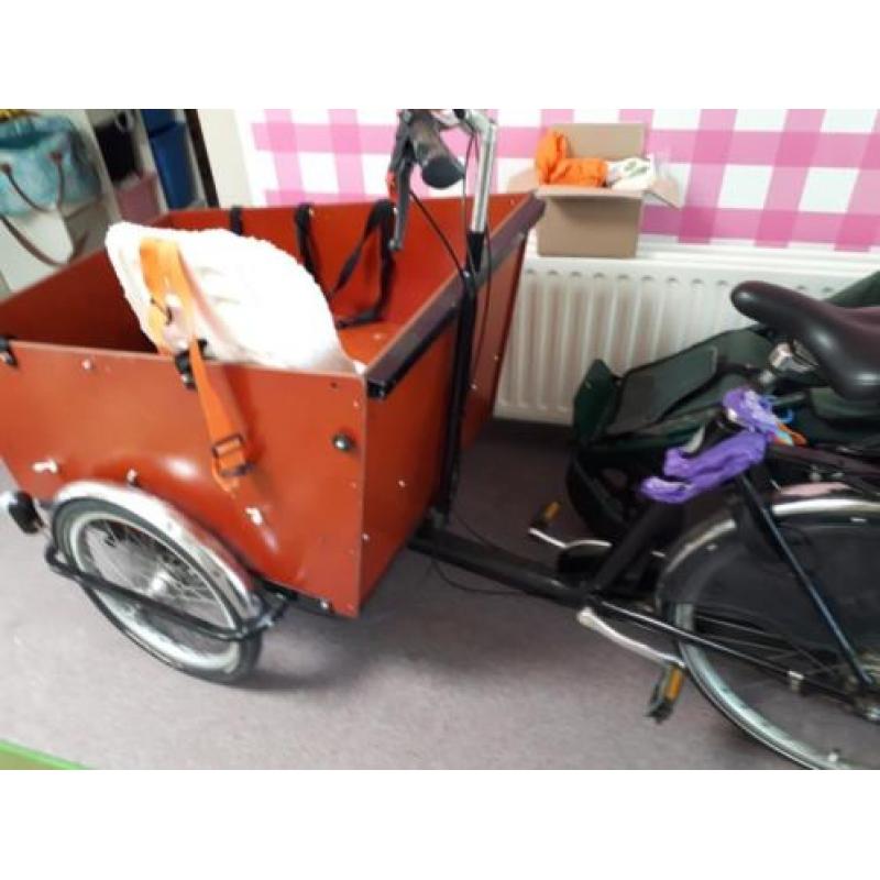 Bakfiets voor 6 kindjes