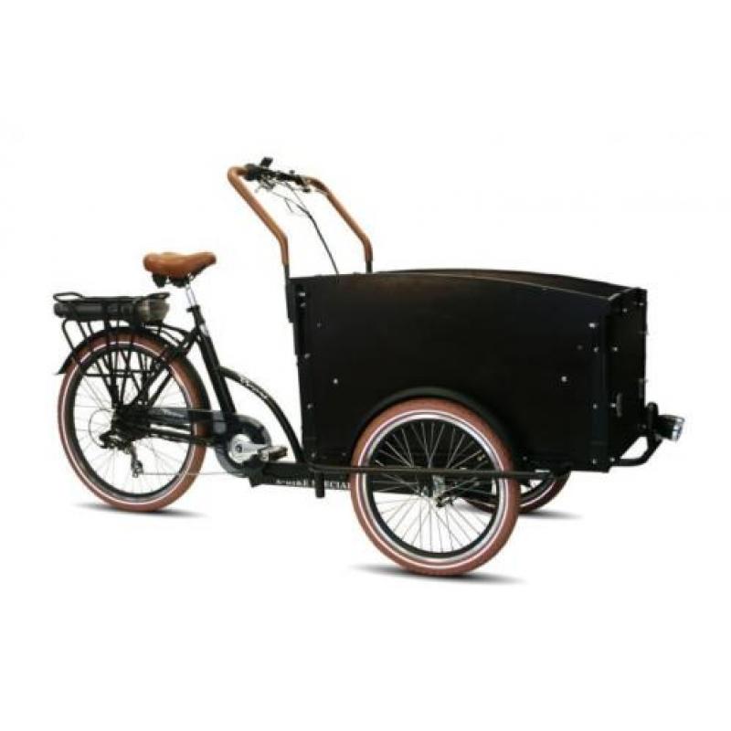 Troy elektrische bakfiets 36V fiets e-bike driewieler