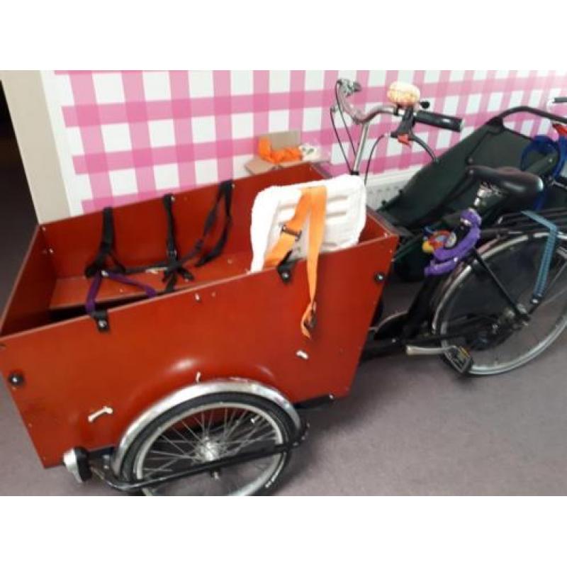 Bakfiets voor 6 kindjes