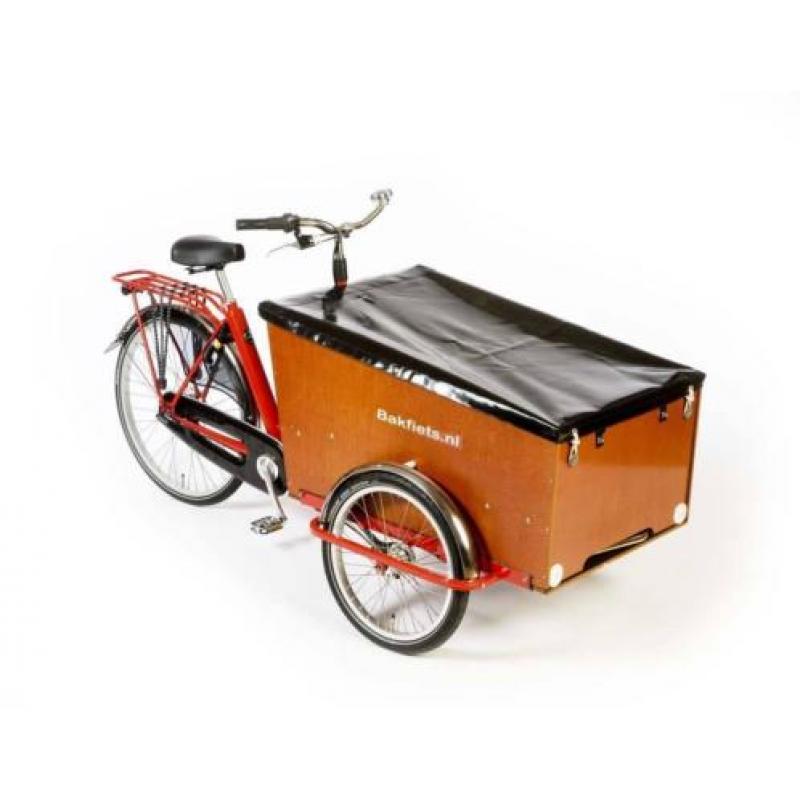 Bakfiets.nl Cargotrike classic Narrow steps